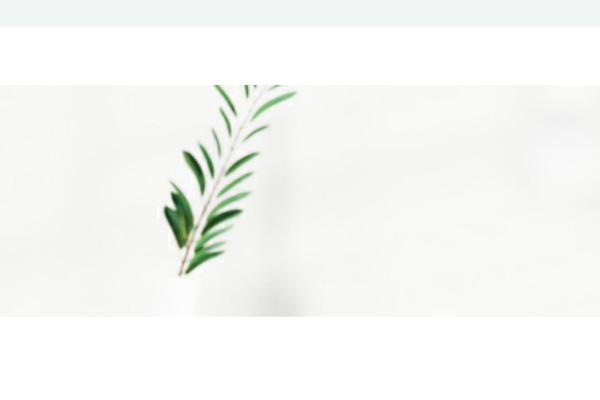 Site using Wp-yandex-metrika plugin