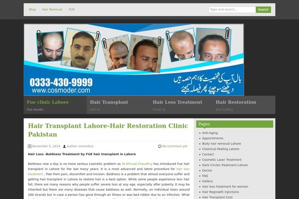 zAlive theme site design template sample