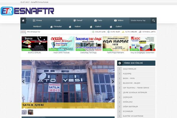 esnaftr.com site used Esnaftr