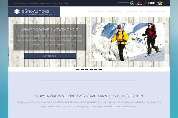 Responsive-brix-child theme site design template sample