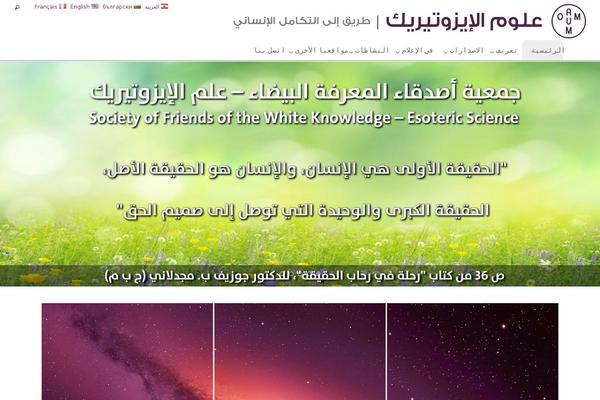 Site using Multisite Language Switcher plugin