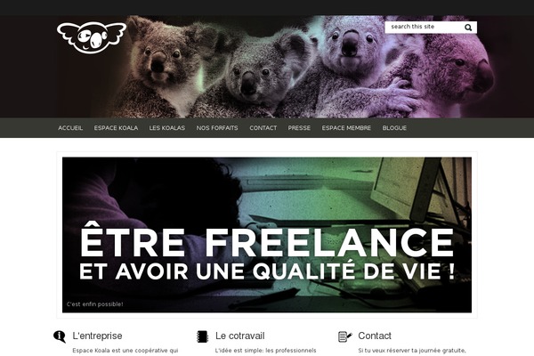 thememagic theme site design template sample