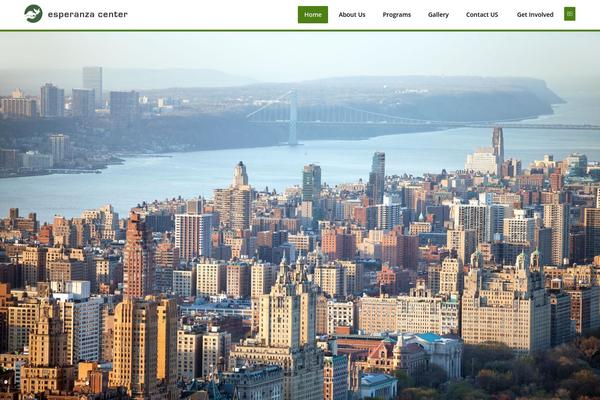 Site using Codevz-plus plugin