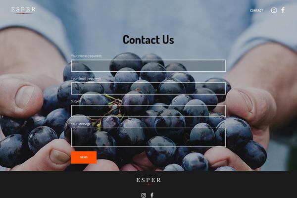 Bridge Child theme site design template sample