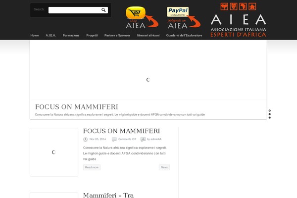 Newscast theme site design template sample