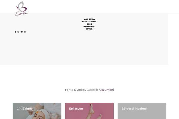 Site using myStickyElements plugin