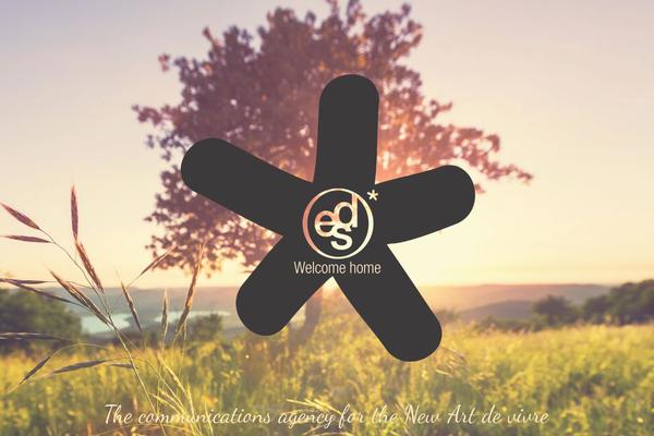 custom_arthesis theme websites examples