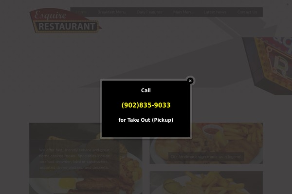 Site using Social Icons Widget by WPZOOM plugin