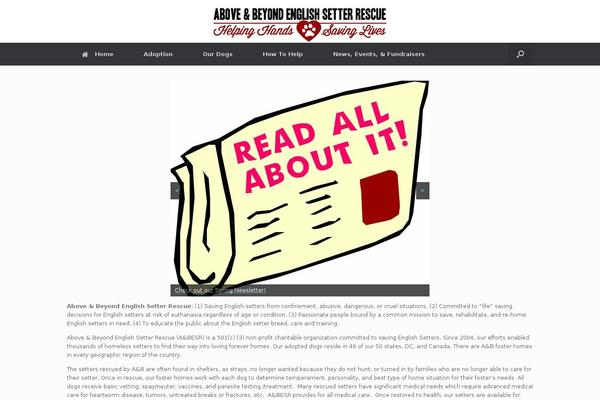 Site using Embed-pdf-viewer plugin