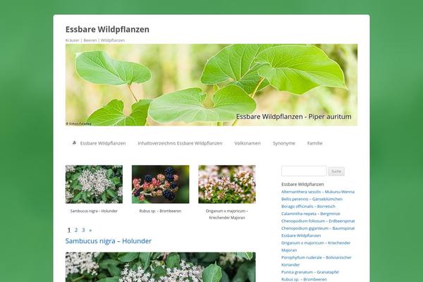 Site using Genesis-page-builder plugin