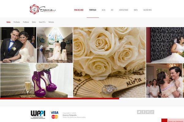 Almera theme site design template sample