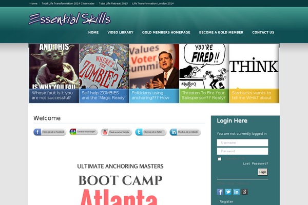 Newsberg theme site design template sample