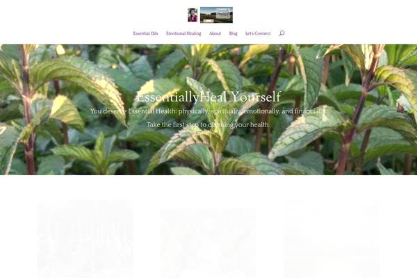 Divi theme site design template sample