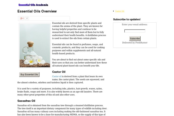 Hybrid theme site design template sample