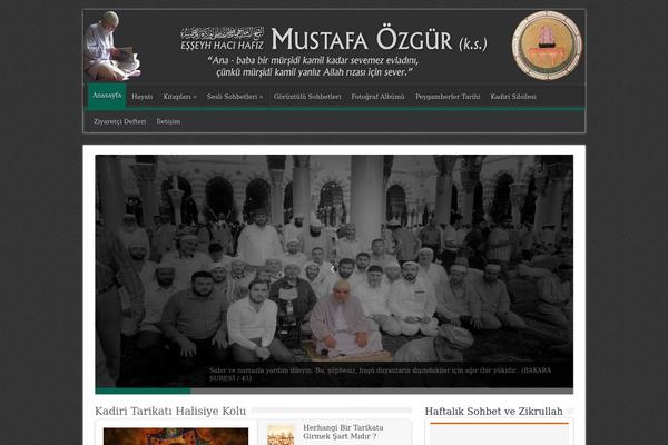 Sahifa theme site design template sample