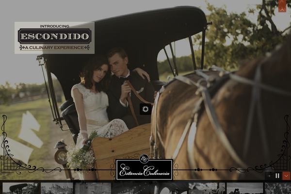 Invictus theme site design template sample