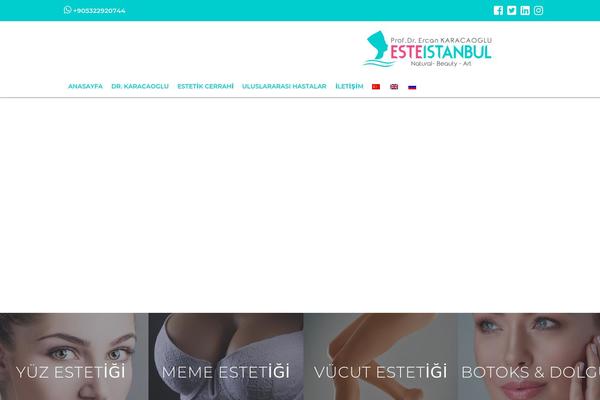 Medanis theme site design template sample