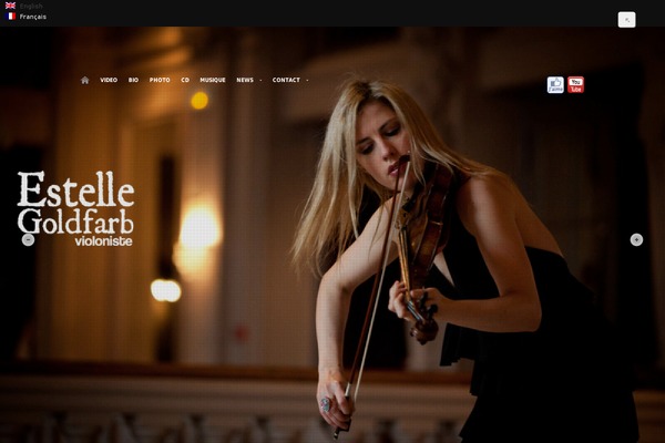 estellegoldfarb.com site used Studiozen