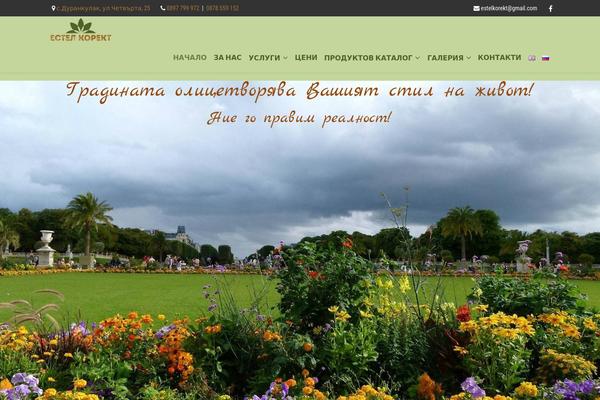 Site using Klaviyo plugin