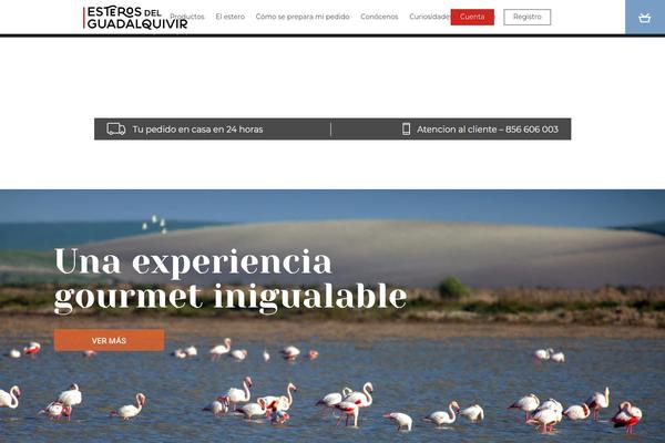 Salient Child theme site design template sample