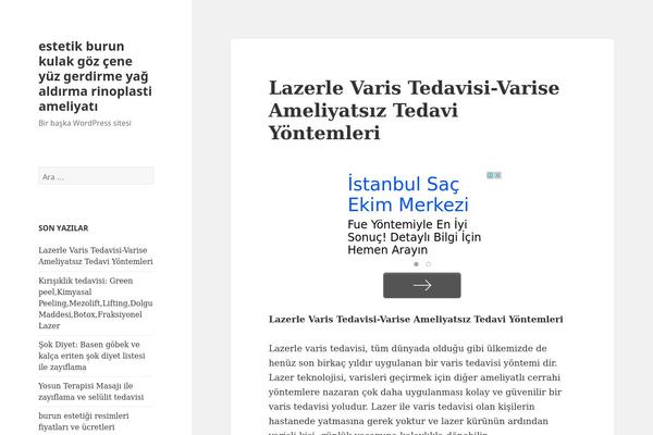 Twenty Fifteen theme site design template sample