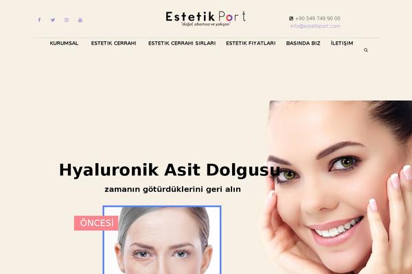 OneLife theme site design template sample