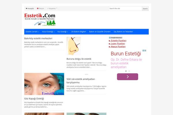 NewsPlus theme site design template sample