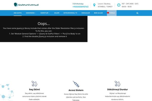 Site using Radiantthemes-mega-menu plugin