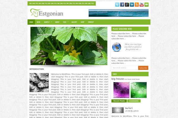 Site using WordPress Multicolor Subscribe Widget plugin