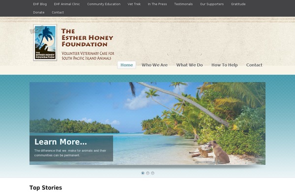 Simplicity theme site design template sample