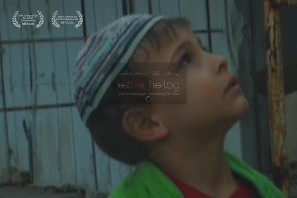 Gleam theme site design template sample
