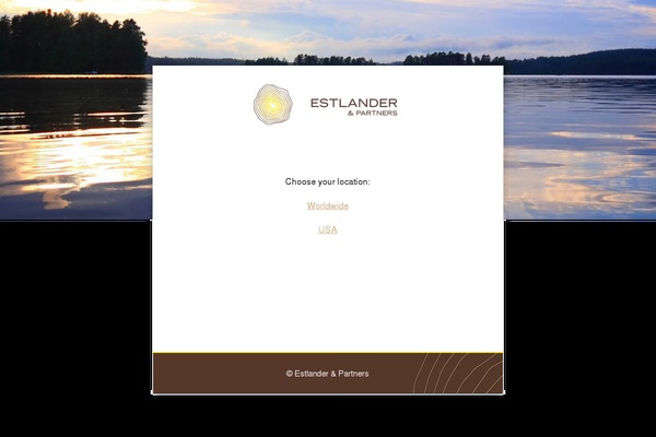 estlander theme websites examples