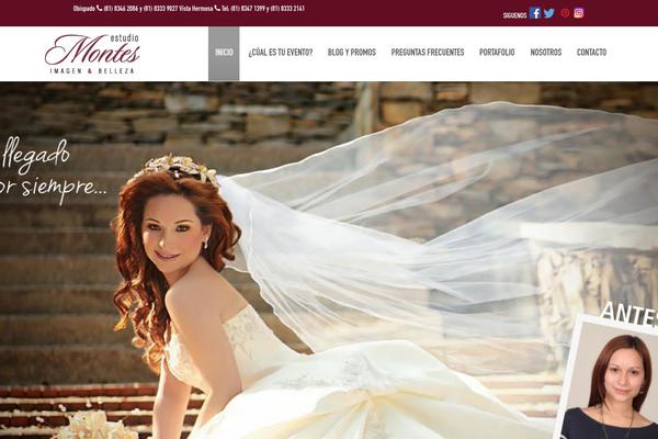 Site using LayerSlider plugin