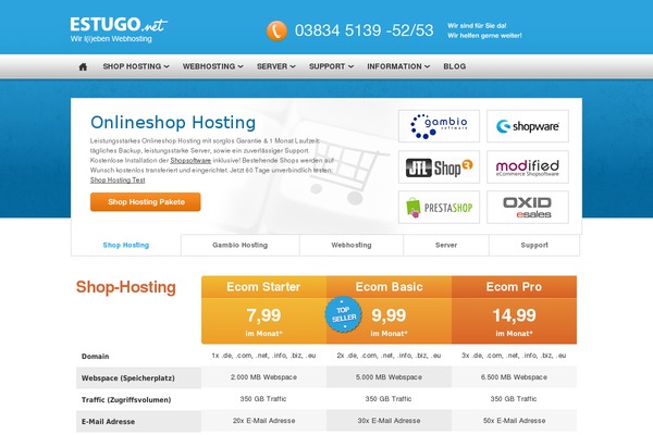 Hostiko theme site design template sample