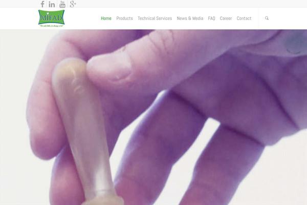 etamifad.com site used Conj