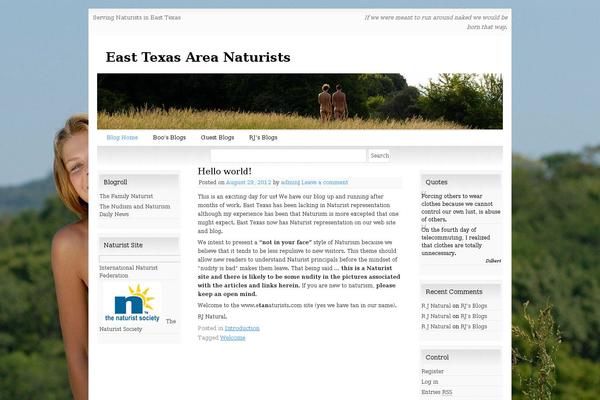 Snow Summit theme site design template sample