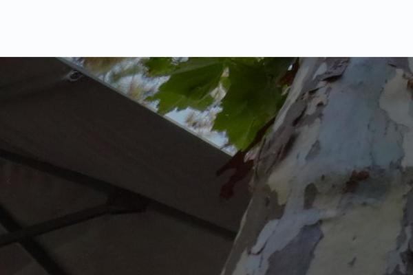 Site using Th-widget-pack plugin