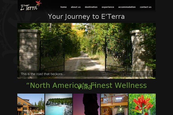 Amped Child theme site design template sample