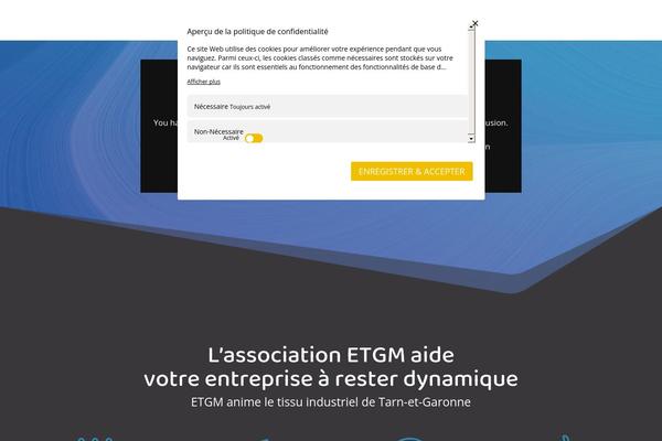 Divi Child theme site design template sample