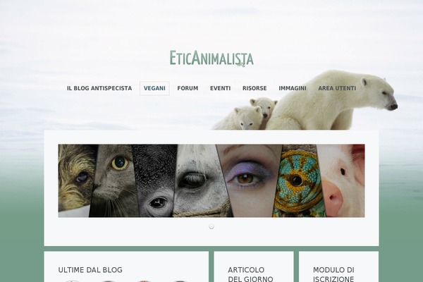 Site using Social Articles plugin