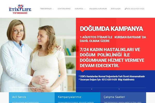 Site using Elfsight-instashow plugin