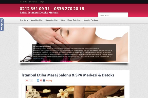 Site using SN Facebook Like plugin