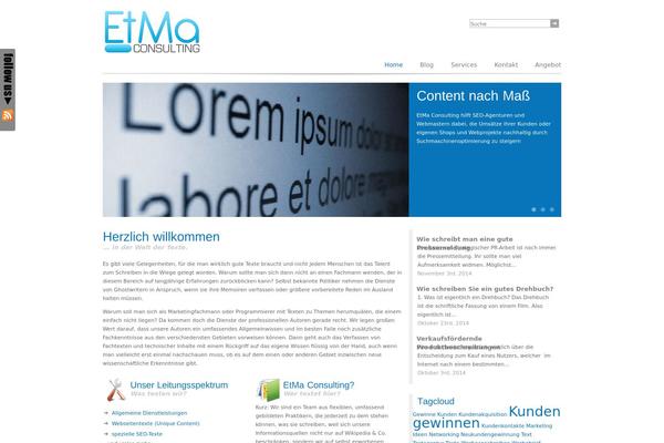 Media Consult theme site design template sample