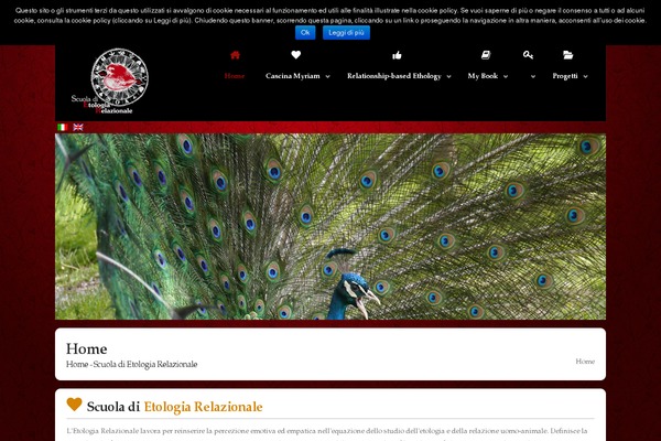 Memento theme site design template sample