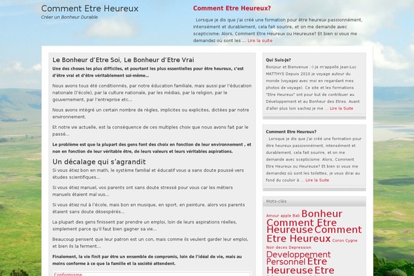 Platinum theme site design template sample