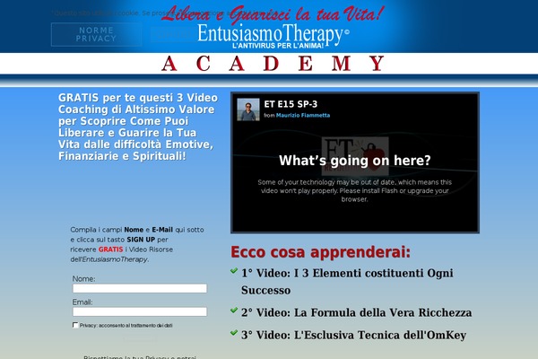 Magnificent theme site design template sample