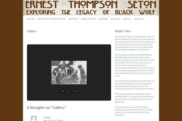 Attitude Pro theme site design template sample