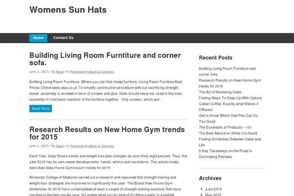 Minn Lite theme site design template sample