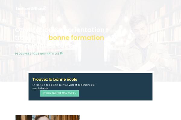 Site using Wp-show-posts plugin