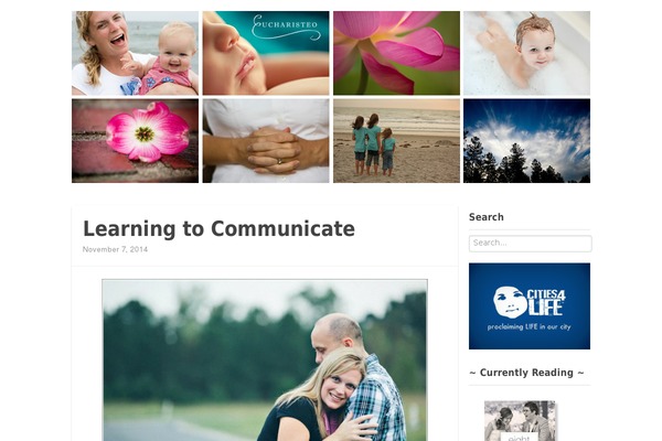 Standard theme site design template sample